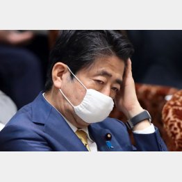 まともな保守派は一貫して安倍首相を批判してきた（Ｃ）日刊ゲンダイ