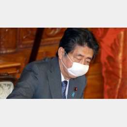 不支持率６割超え目前（安倍首相）／（Ｃ）日刊ゲンダイ