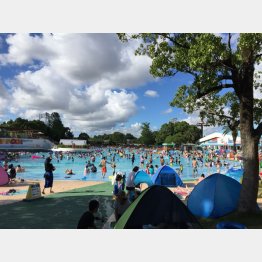 最後の夏がやってくる！（としまえん）／（Ｃ）日刊ゲンダイ