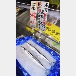 店頭で1匹5980円の値札が付いた初物サンマ（Ｃ）共同通信社