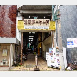 入り口からして…（Ｃ）日刊ゲンダイ