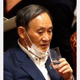 菅官房長官（Ｃ）日刊ゲンダイ