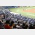 観戦ルールはあってないようなもので…（Ｃ）日刊ゲンダイ