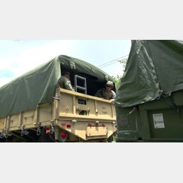 ウイルスには無防備（19日＝東村高江・宮城秋乃氏提供）