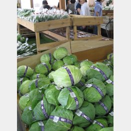 抗酸化物質の含有量が多い（Ｃ）日刊ゲンダイ