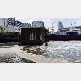 下水放流口から汚水が…（提供写真）