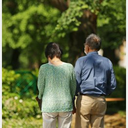 写真はイメージ（Ｃ）日刊ゲンダイ