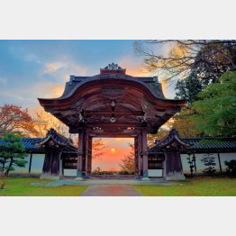 明智光秀が再建した西教寺（滋賀／公社びわこビジターズビューロー）