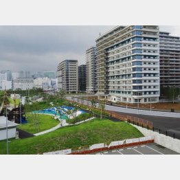 誰一人いない… 選手村の公園だけでも開放すべきだ（Ｃ）日刊ゲンダイ