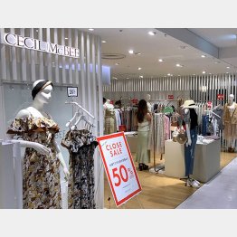 撤退を決めた「セシルマクビー」（Ｃ）日刊ゲンダイ