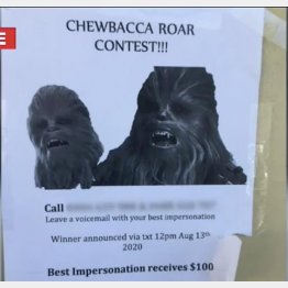 「いったい何それ！？」／（９ニュースのユーチューブから）