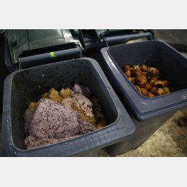 飼料になる食品廃棄物（Ｃ）日刊ゲンダイ