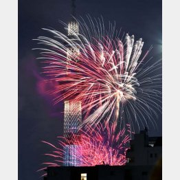 今年は隅田川の花火大会も中止（Ｃ）共同通信社