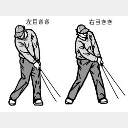 イラスト・渡辺隆司