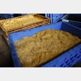 1日に35トンの食品廃棄物を回収する（Ｃ）日刊ゲンダイ