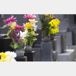 花と線香を供える映像が送られてくる（写真はイメージ）