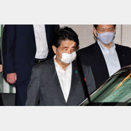 夏休みを２回もキャンセル、毎年この時期には…（安倍首相）／（Ｃ）日刊ゲンダイ