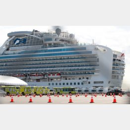 「ダイヤモンド・プリンセス」号と下船する乗客を待機するバス（Ｃ）日刊ゲンダイ