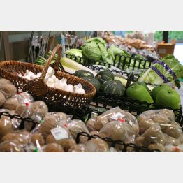 切らずにそのままポリ袋に（Ｃ）日刊ゲンダイ