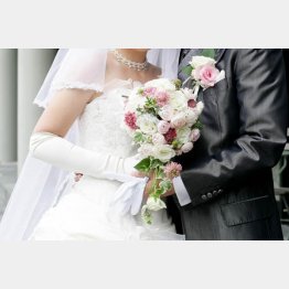 写真はイメージ