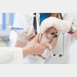 今からでも遅くない（写真はイメージ）