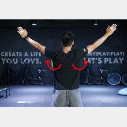 写真C（Ｃ）日刊ゲンダイ