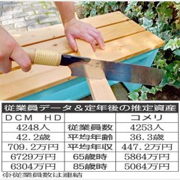 日曜大工は楽しい
