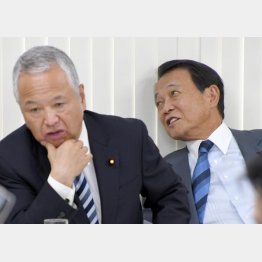 思惑含みの擁護（麻生太郎財務相と甘利明選対委員長＝左）／（Ｃ）日刊ゲンダイ