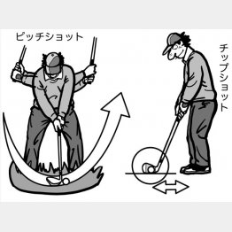 イラスト・渡辺隆司