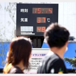 残暑厳しい（Ｃ）日刊ゲンダイ