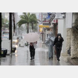 台風9号は那覇市内でも44メートルの猛烈な風（国際通り）／（Ｃ）共同通信社