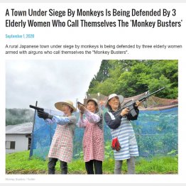 米ニュースサイト「サニー・スカイズ」より