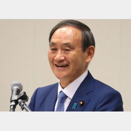 あざけりの冷笑の菅官房長官（Ｃ）日刊ゲンダイ