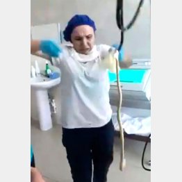 （インスタグラムから）