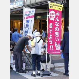 来年5月の住民投票実施を目指す（Ｃ）日刊ゲンダイ