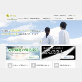 （テラ株式会社HP）