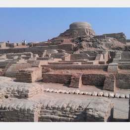 写真①モエンジョ＝ダーロ遺跡（Ｃ）wikimedia commons