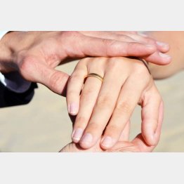 写真はイメージ