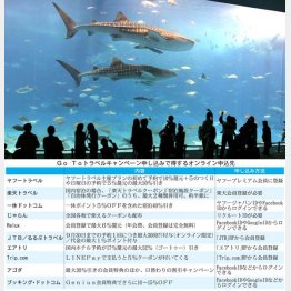 沖縄旅行もオトク（写真は美ら海水族館）／（Ｃ）日刊ゲンダイ