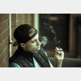 写真はイメージ