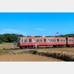 のどかな風景の中を走る電車（Ｃ）日刊ゲンダイ