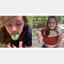 愛犬家でもあるジェナ・フィリップさん（ティックトックから）