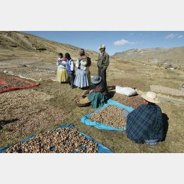 写真①（Ｃ）ロイター