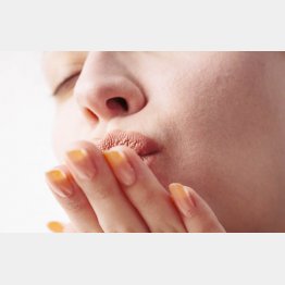 写真はイメージ