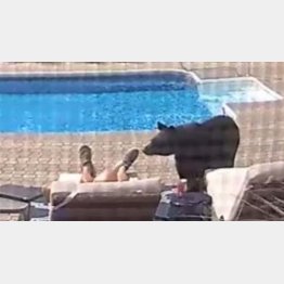 鼻先で足をツンツンと……（ドーンさんのフェイスブックから）