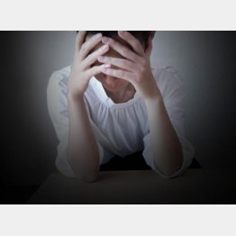 写真はイメージ