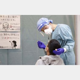 大丈夫か？（成田空港のＰＣＲ検査）／（Ｃ）共同通信社