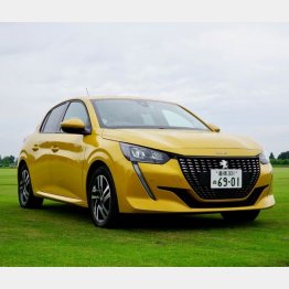 ボディーはVWポロとほぼ同サイズ（写真）小沢コージ