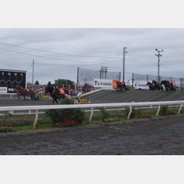 ばんえい競馬（提供写真）