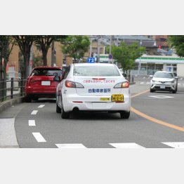 旅行だけじゃない